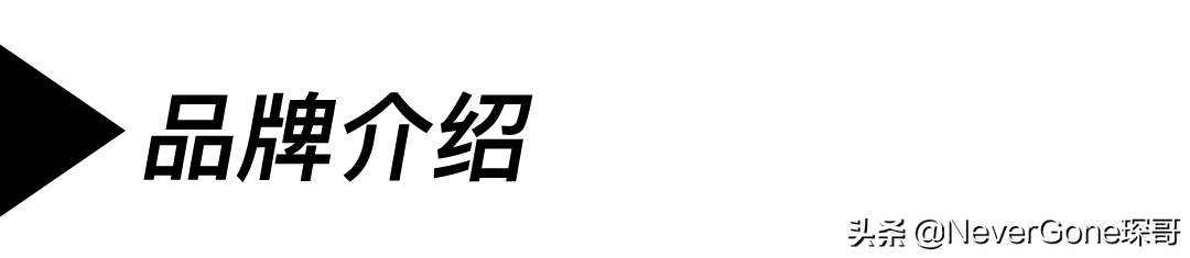 皮尔卡丹商标logo(皮尔卡丹商标logo内衬)