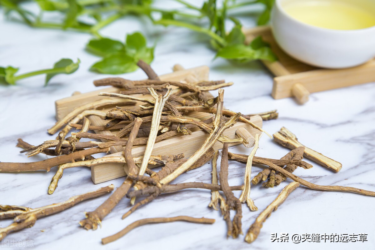 柴胡、升麻都具有的功效是（升麻的功效与用途）