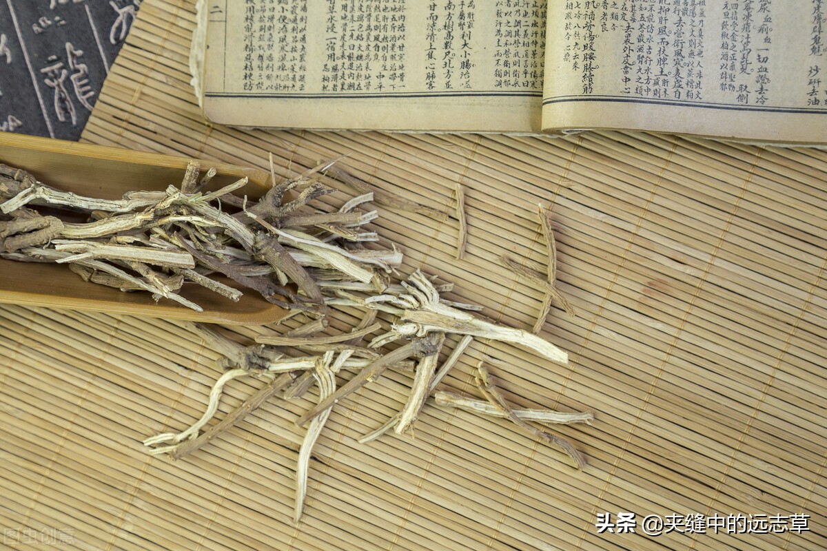 柴胡、升麻都具有的功效是（升麻的功效与用途）