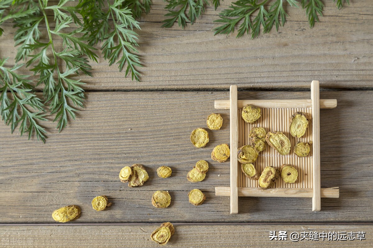 柴胡、升麻都具有的功效是（升麻的功效与用途）