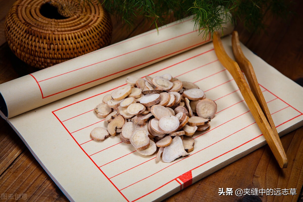 柴胡、升麻都具有的功效是（升麻的功效与用途）