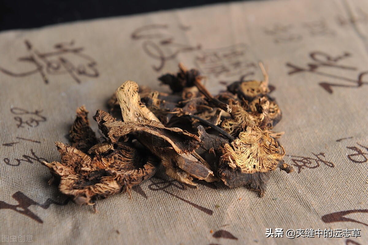 柴胡、升麻都具有的功效是（升麻的功效与用途）