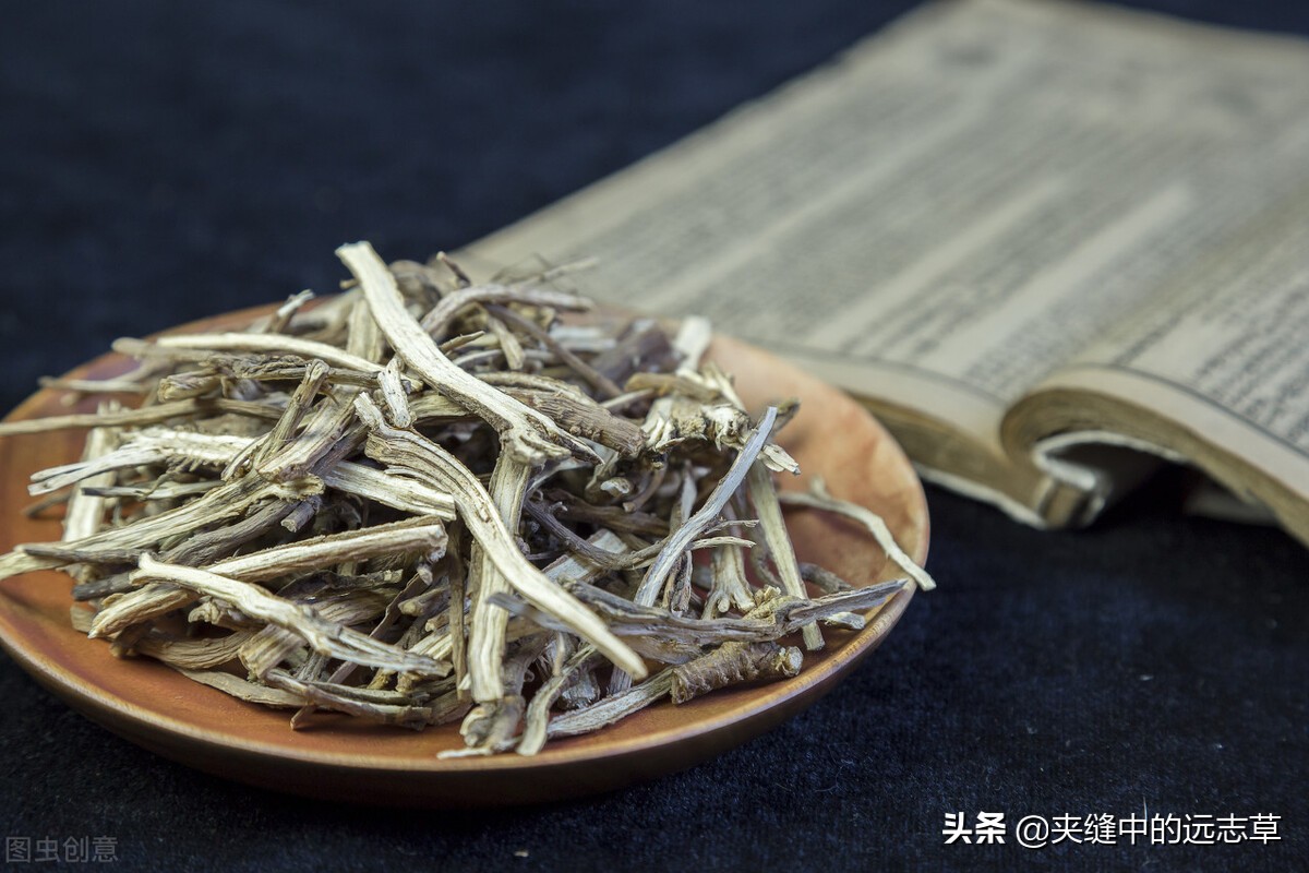 柴胡、升麻都具有的功效是（升麻的功效与用途）