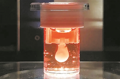 德国科学家利用人类心肌细胞 3D 打印心腔，可自主跳